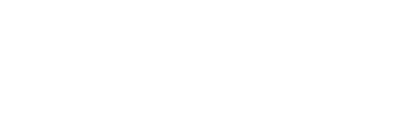 direktamsee.de  Logo
